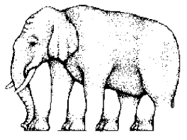 hybridní slon.gif