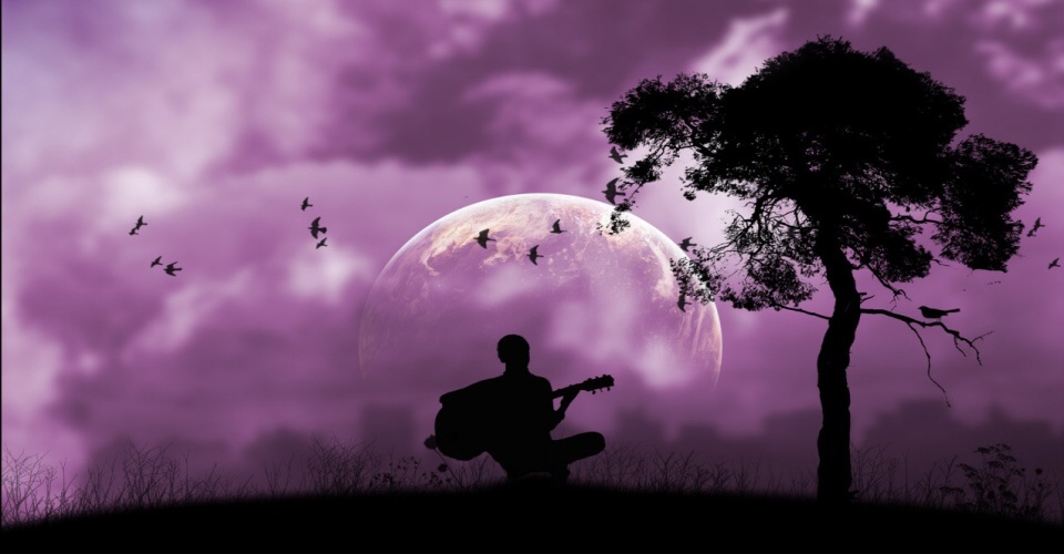 Purple serenade.jpg